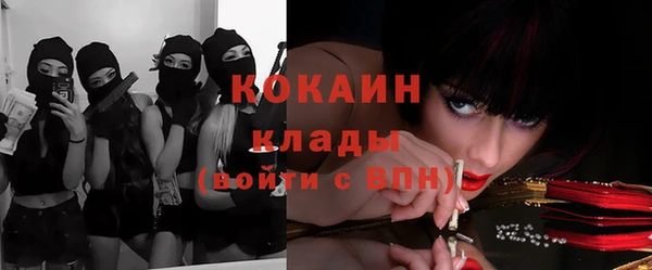 стаф Новокубанск