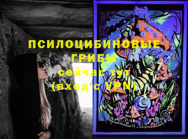 прущая мука Новодвинск