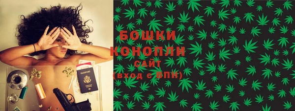 стаф Новокубанск