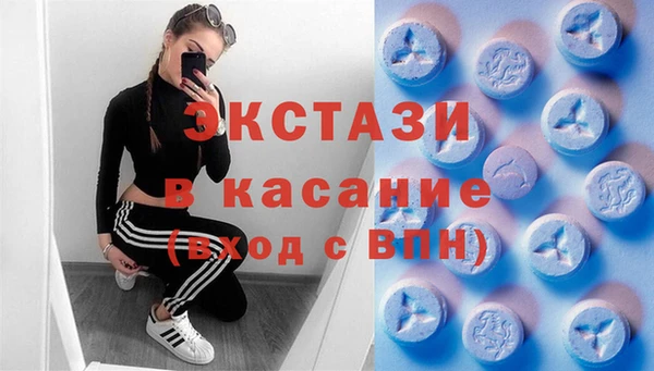 стаф Новокубанск