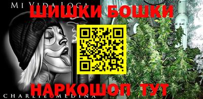 гидра Свободный