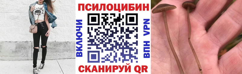 hydra зеркало Сланцы Псилоцибиновые грибы GOLDEN TEACHER